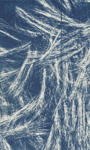 sPARKLE & bLINK 73 by Sarah Irvin