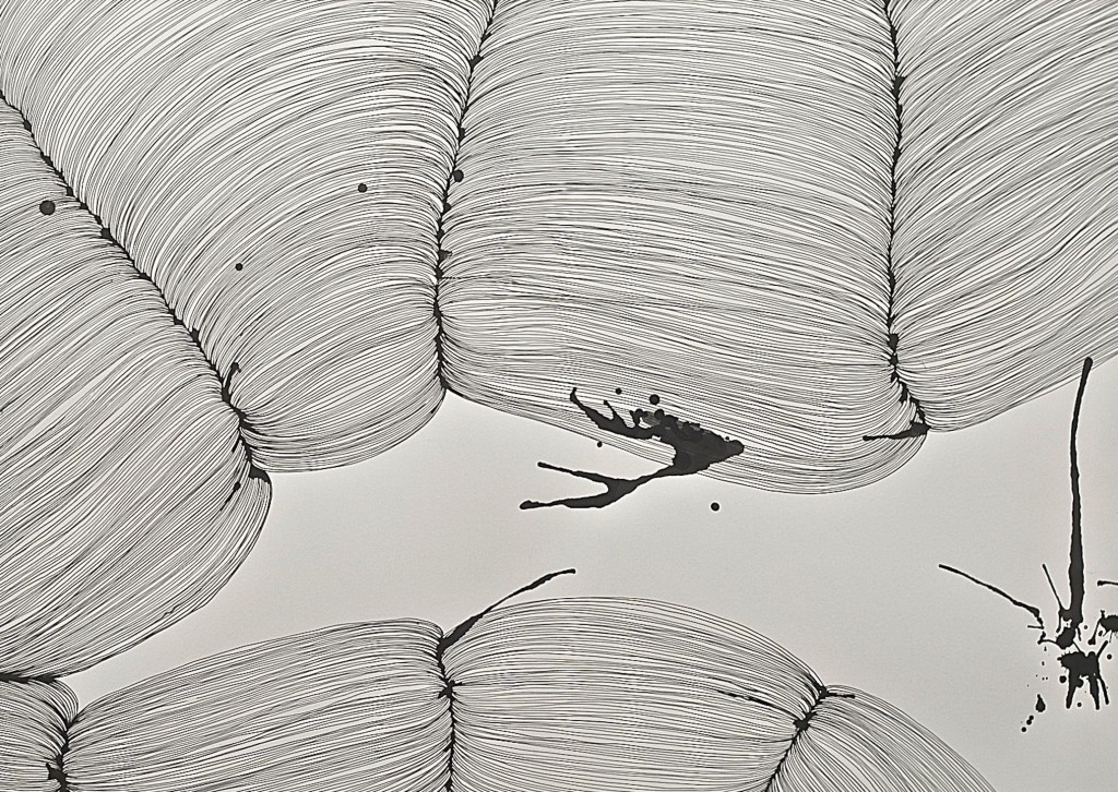 large line cropped copy