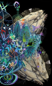 front cover of sPARKLE & bLINK 107 by Judit Navratil