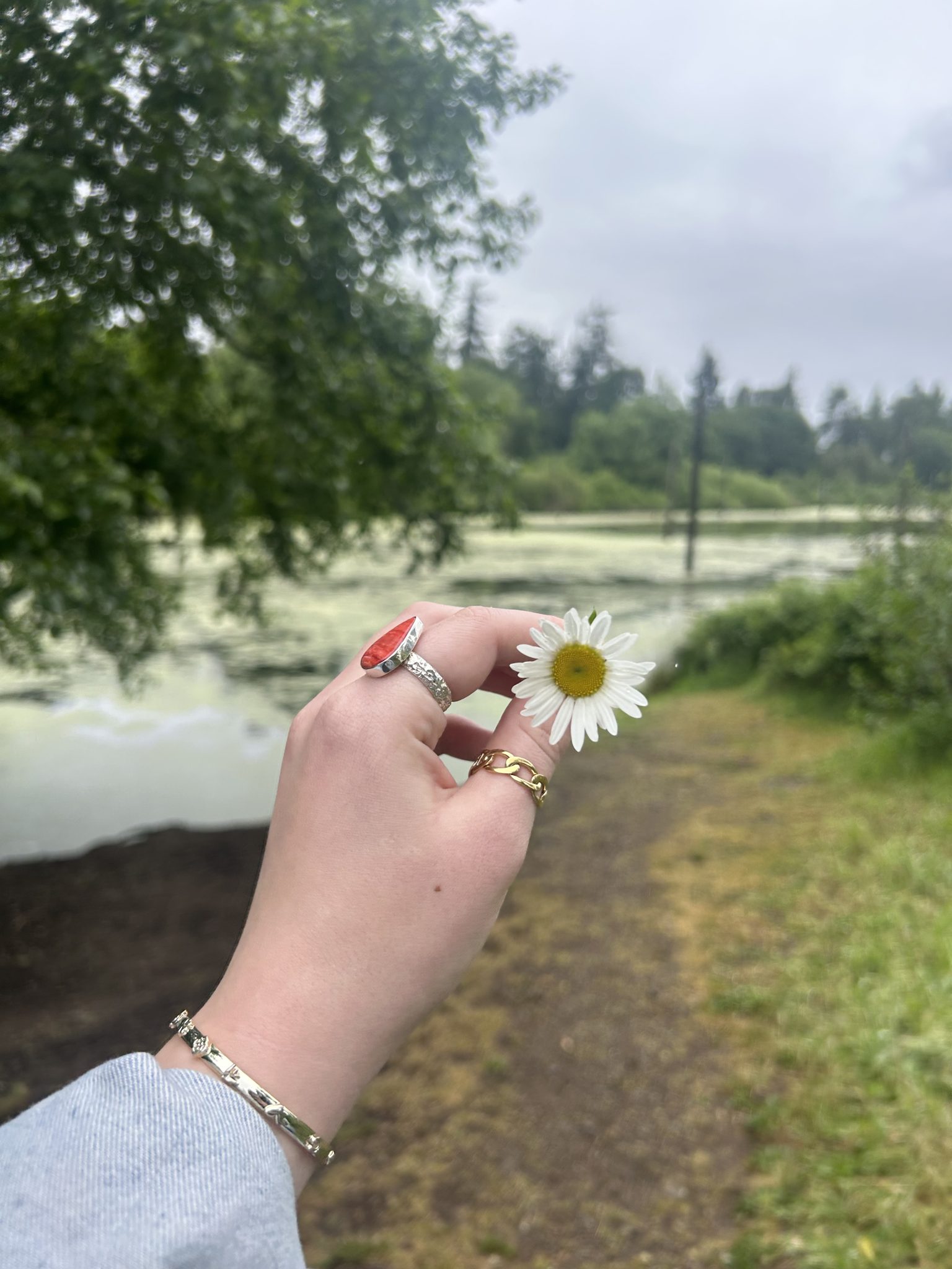 self indulgent twaddle is better than no twaddle at all